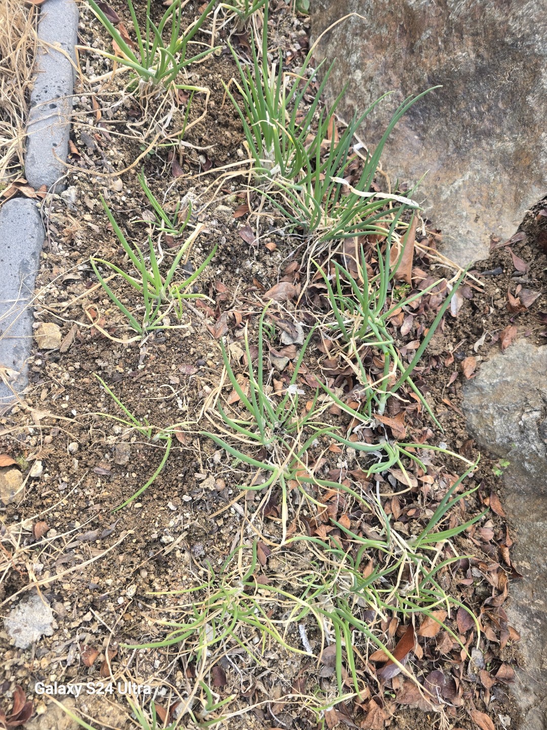 Post image 3