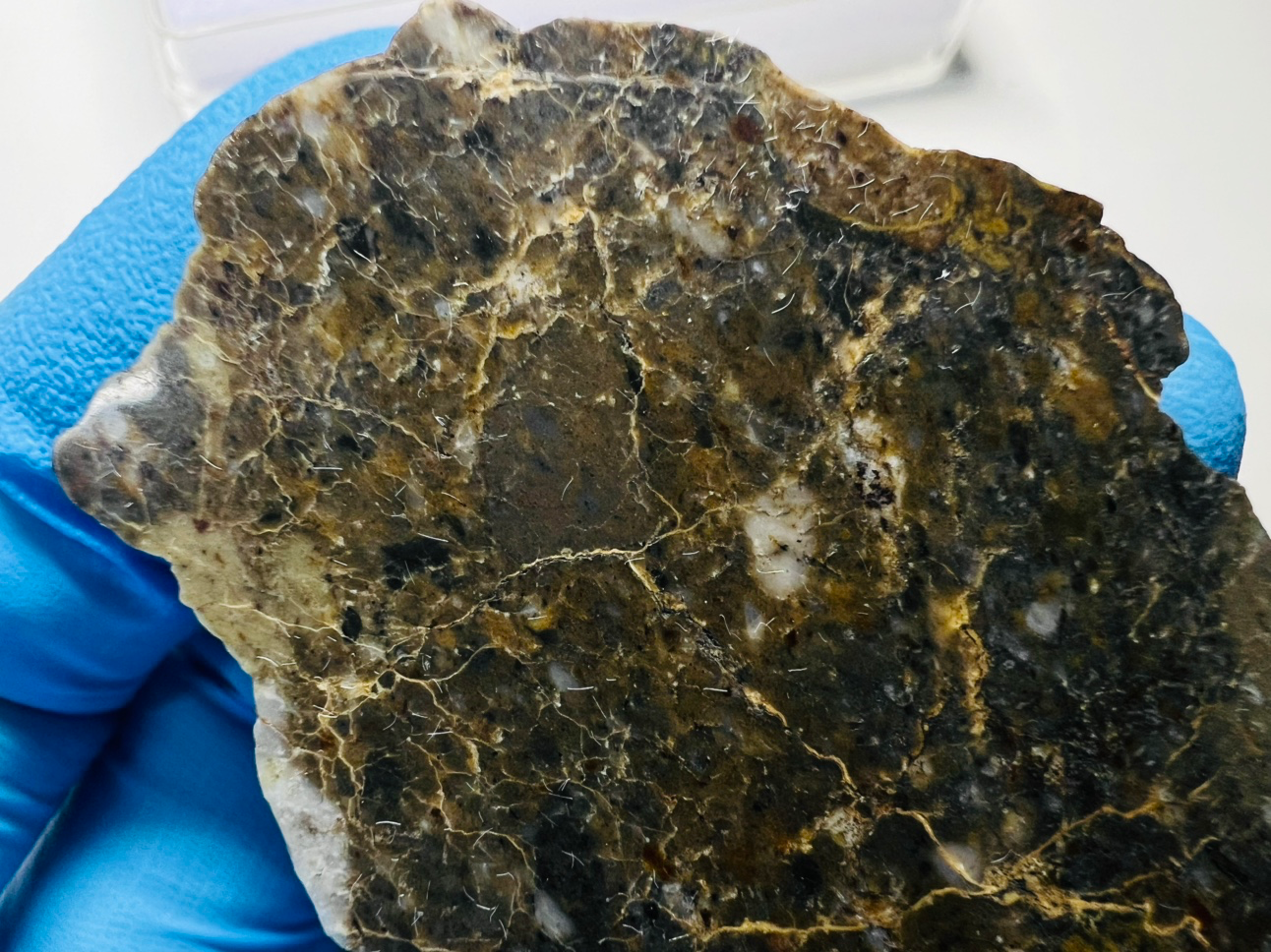 Post image 6