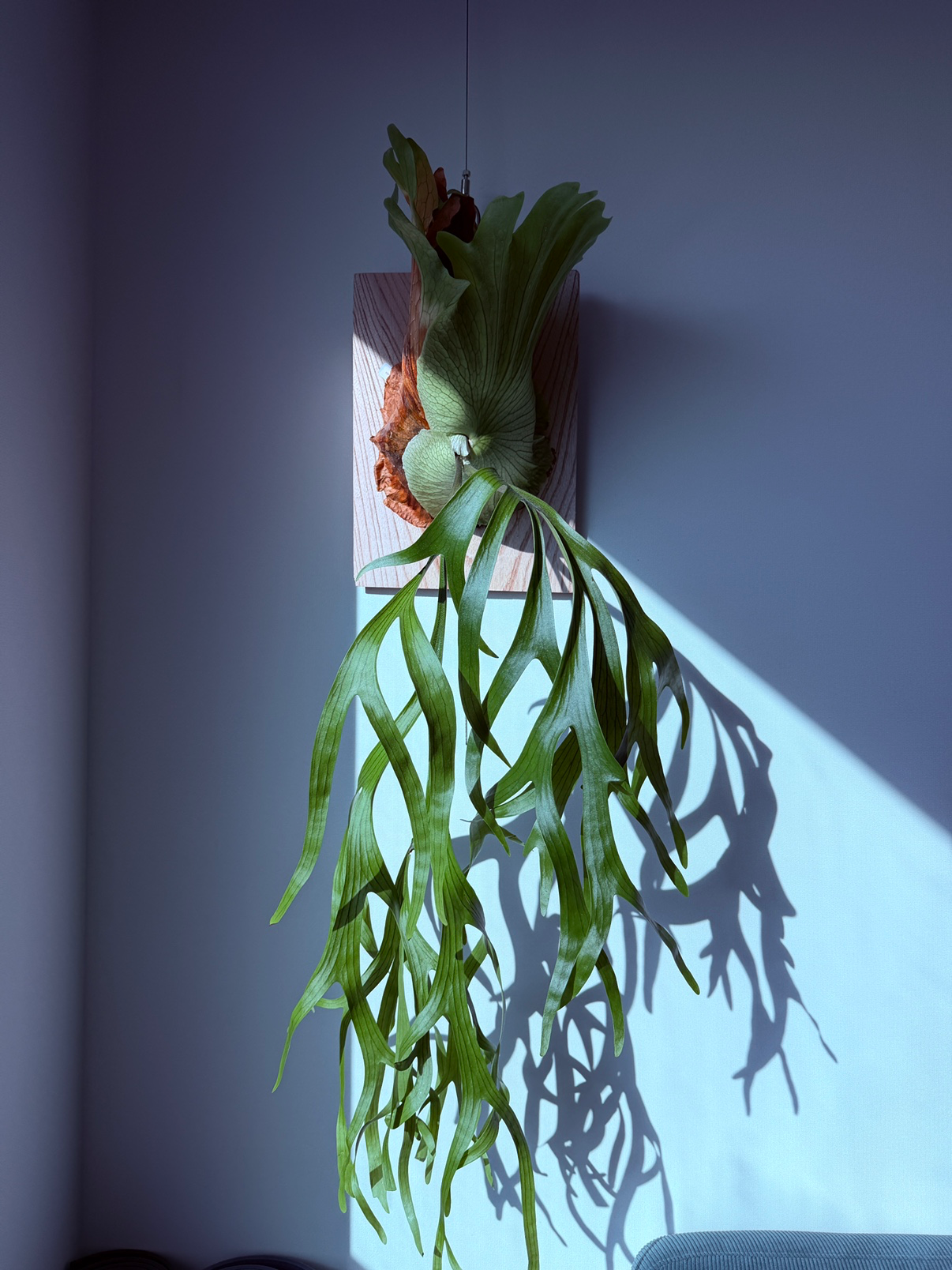 Post image 6