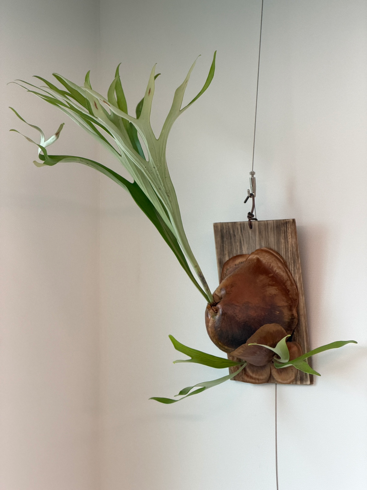 Post image 3