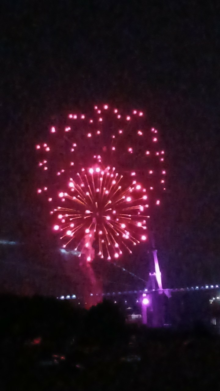 축제가 열린다고하네요