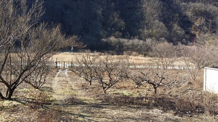 Post image 7