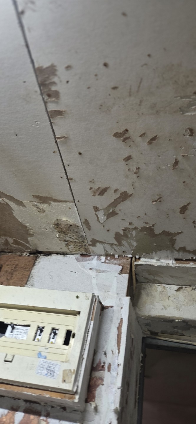 Post image 8