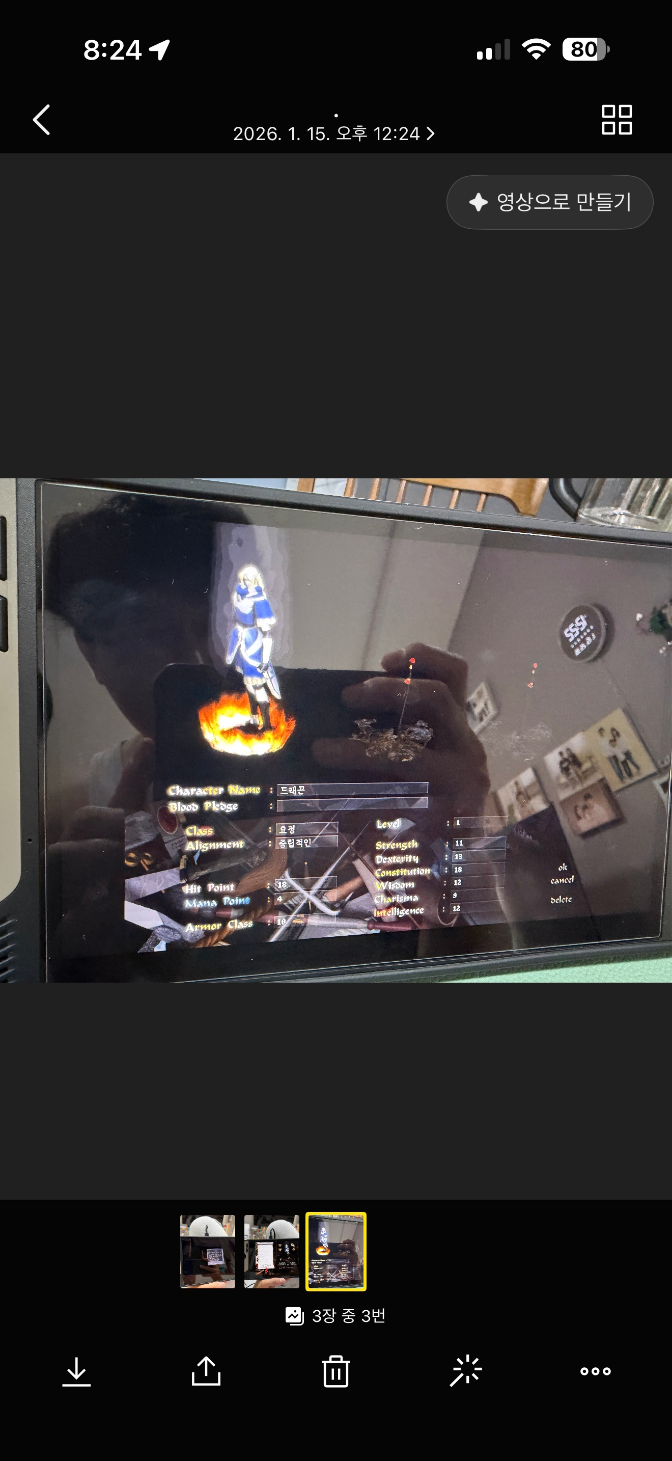 어레인 서버 / 콘요정 / 드래곤