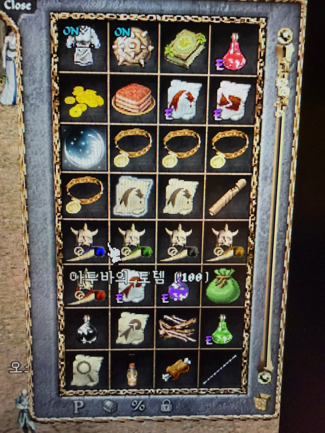 어레인 서버 / 콘요정 / 드래곤