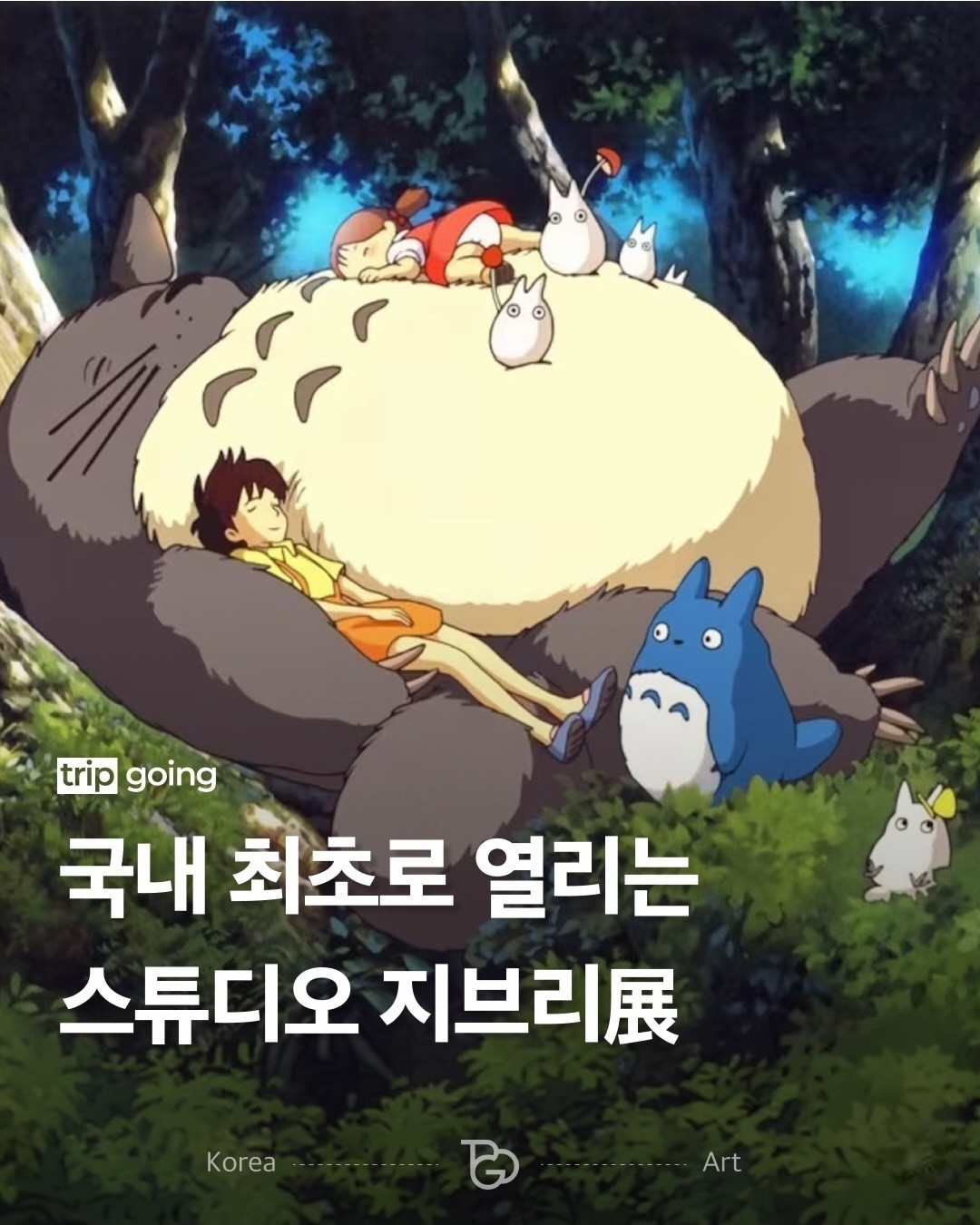 💚 2026년 여름 제주를 주목 💚