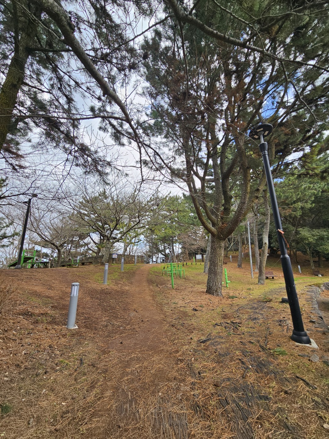 👉 원당봉 (제주시 삼양덩)