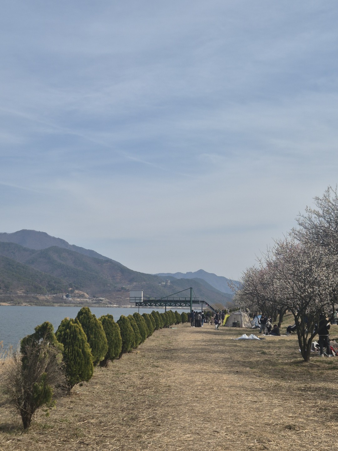Post image 11