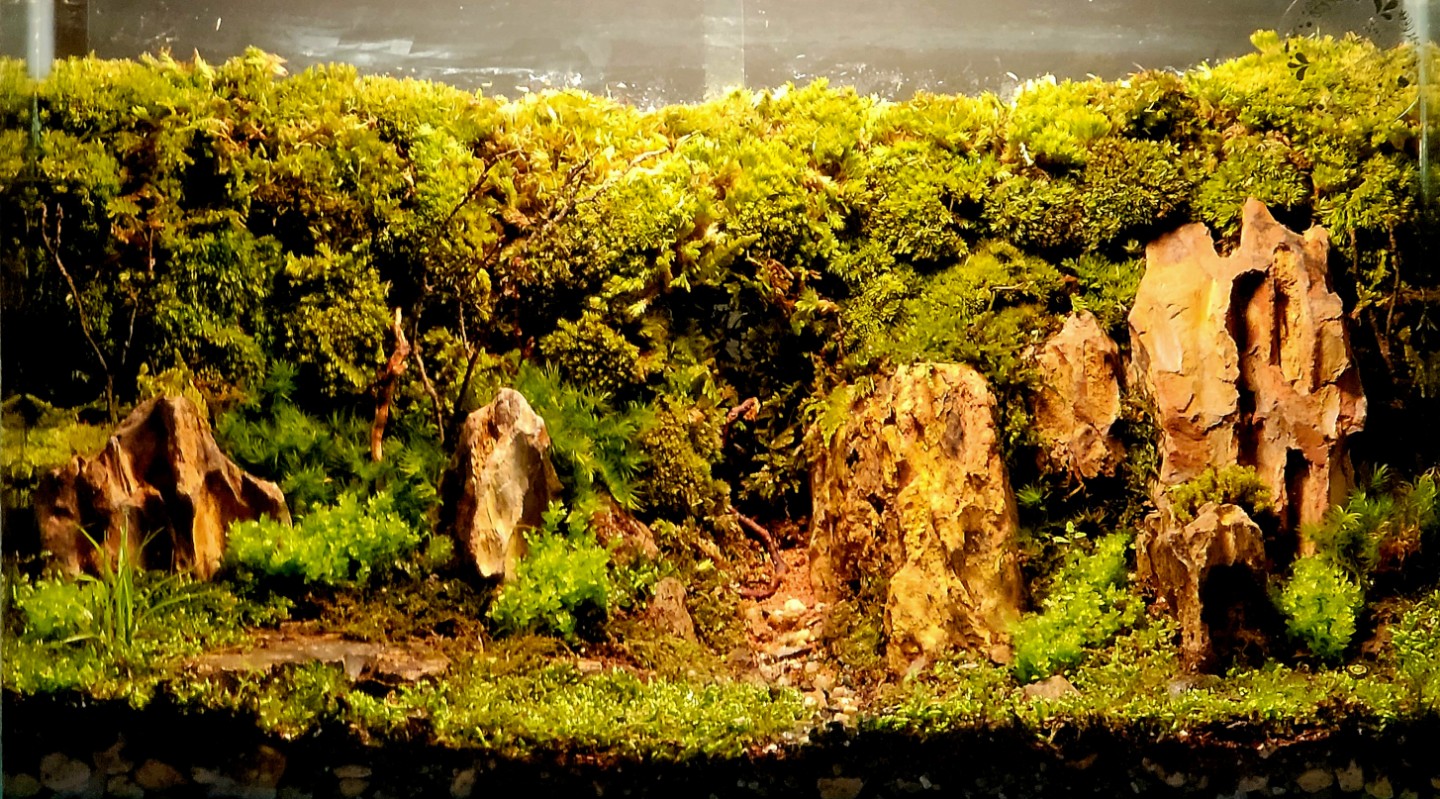 Post image 7