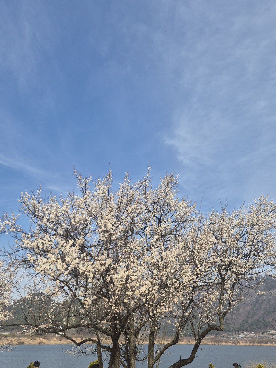 Post image 10