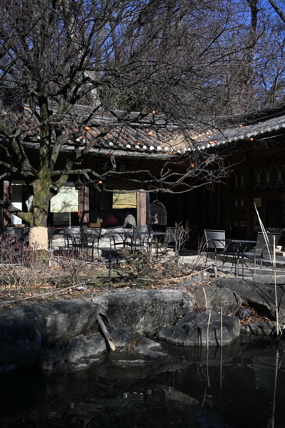 Post image 6