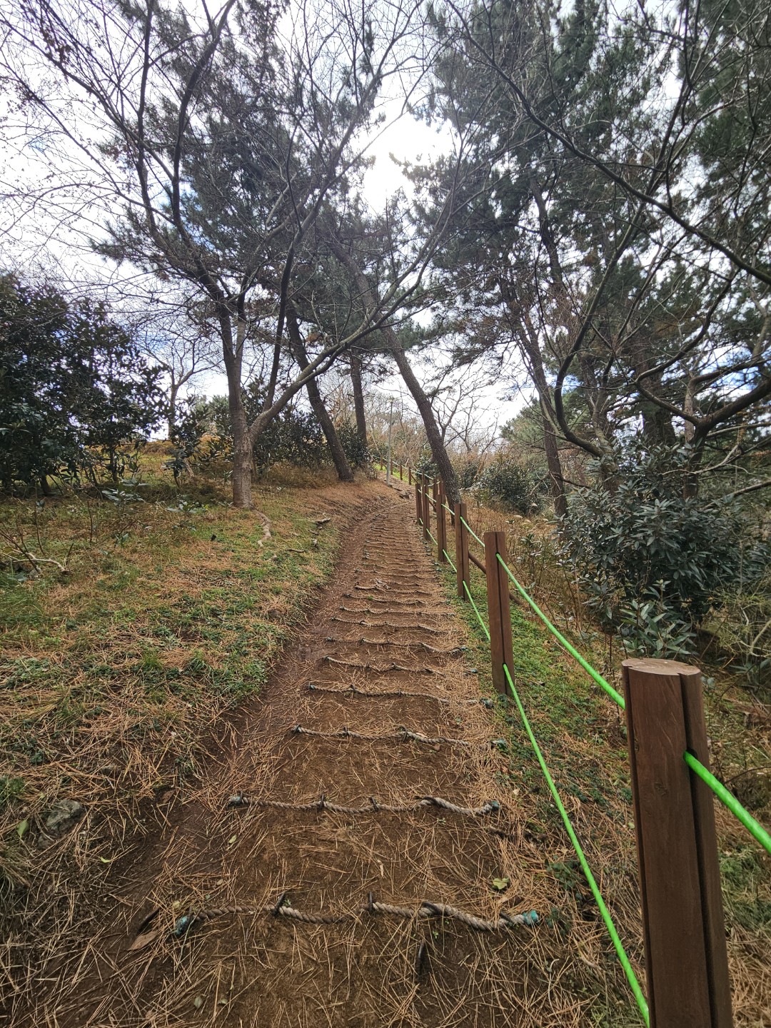 👉 원당봉 (제주시 삼양덩)