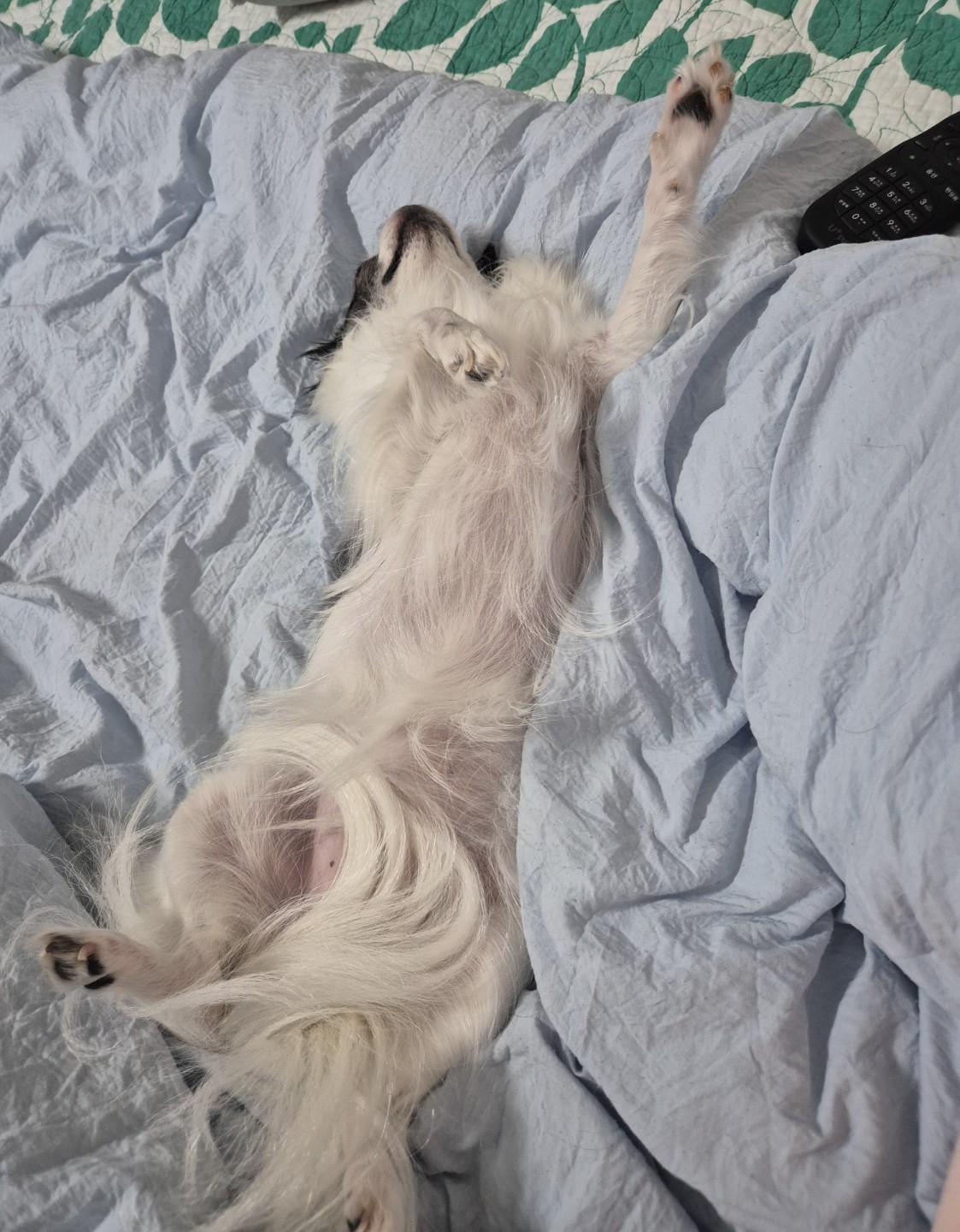 행복한 꿈 꾸세요