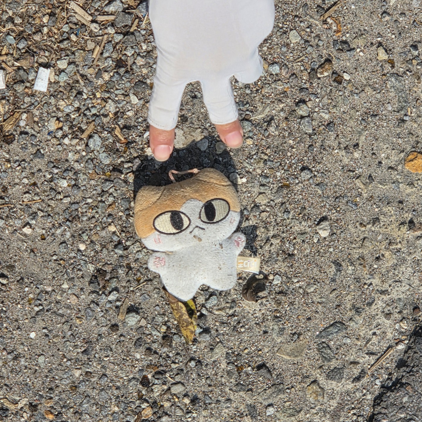 일상생활에서 관찰해요