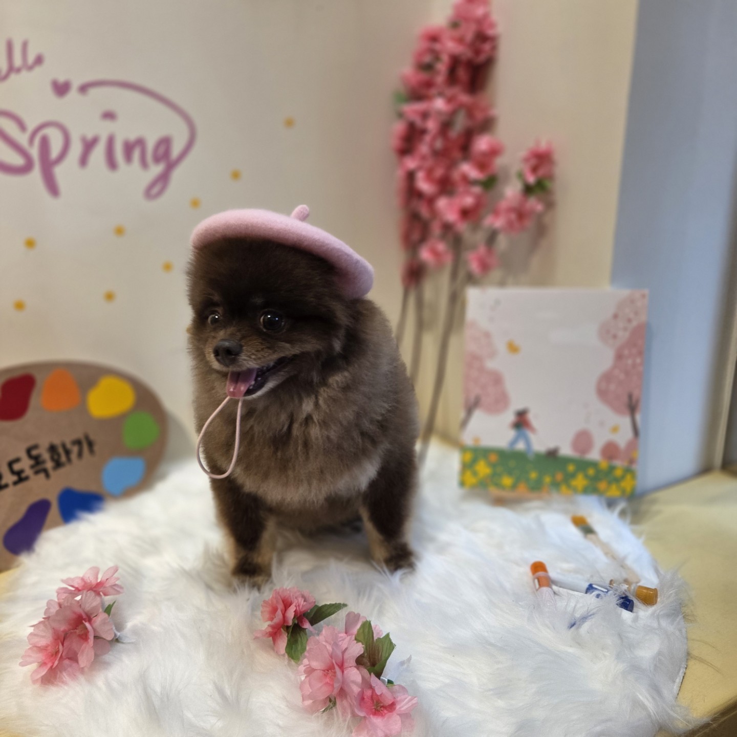 우리집 막내 쬬꼬 예요!