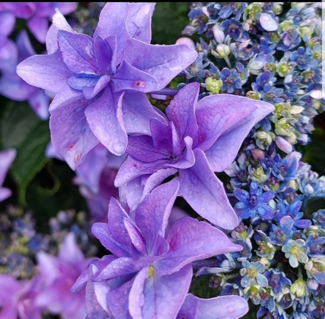 Post image 10