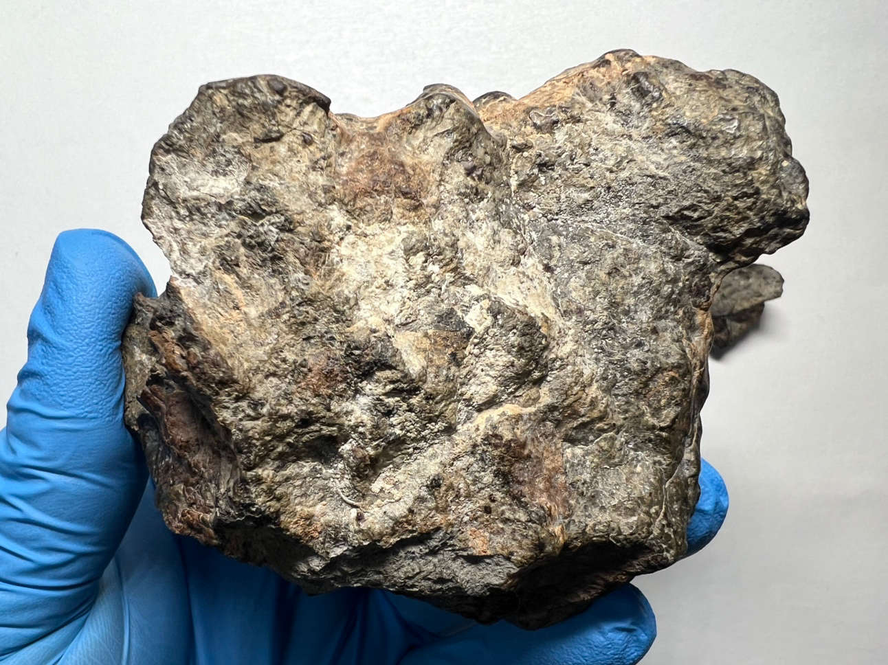 Post image 6