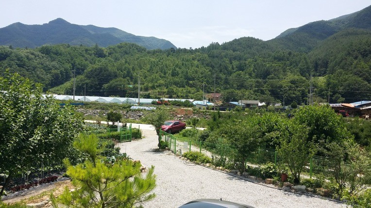 Post image 7
