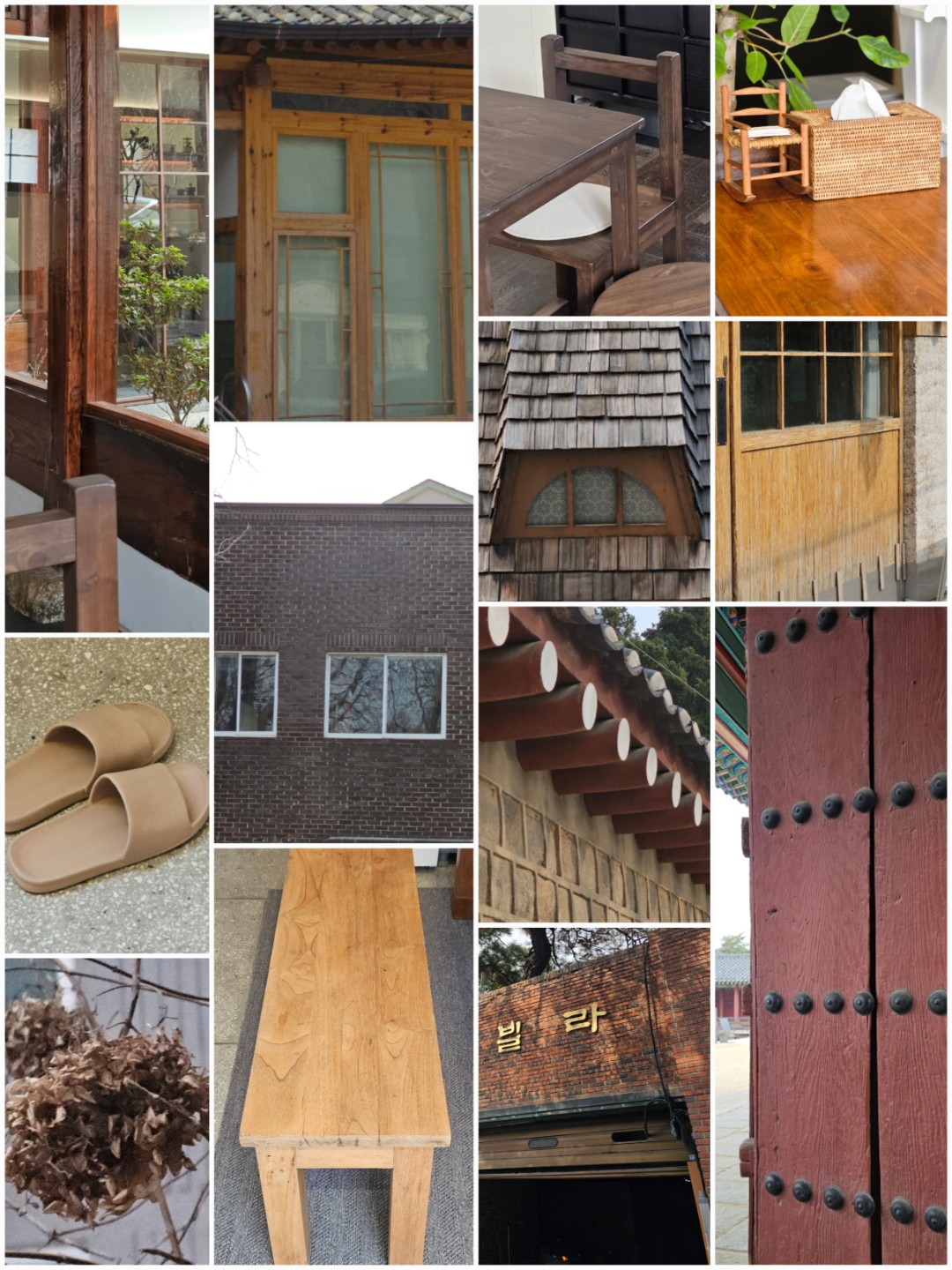 260311 오늘의 컬러🎨갈색