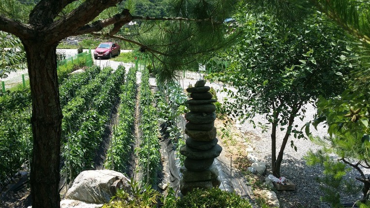 Post image 12