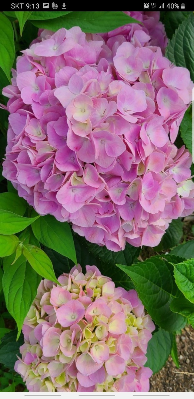 Post image 11