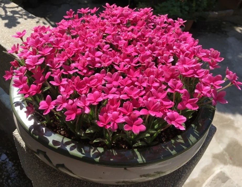 Post image 5