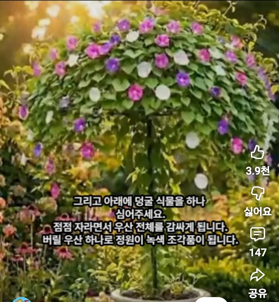 Post image 23