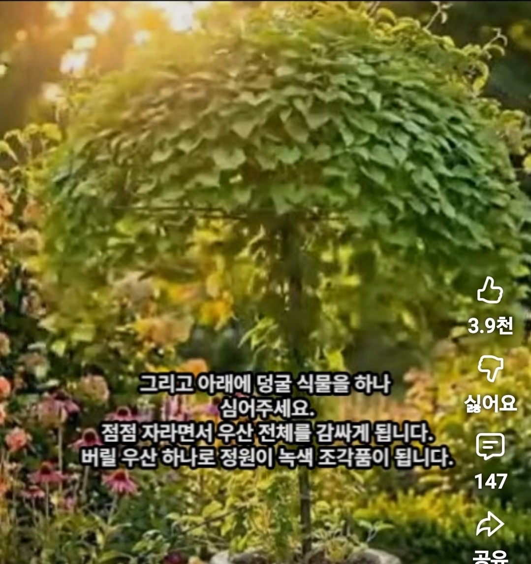 Post image 28
