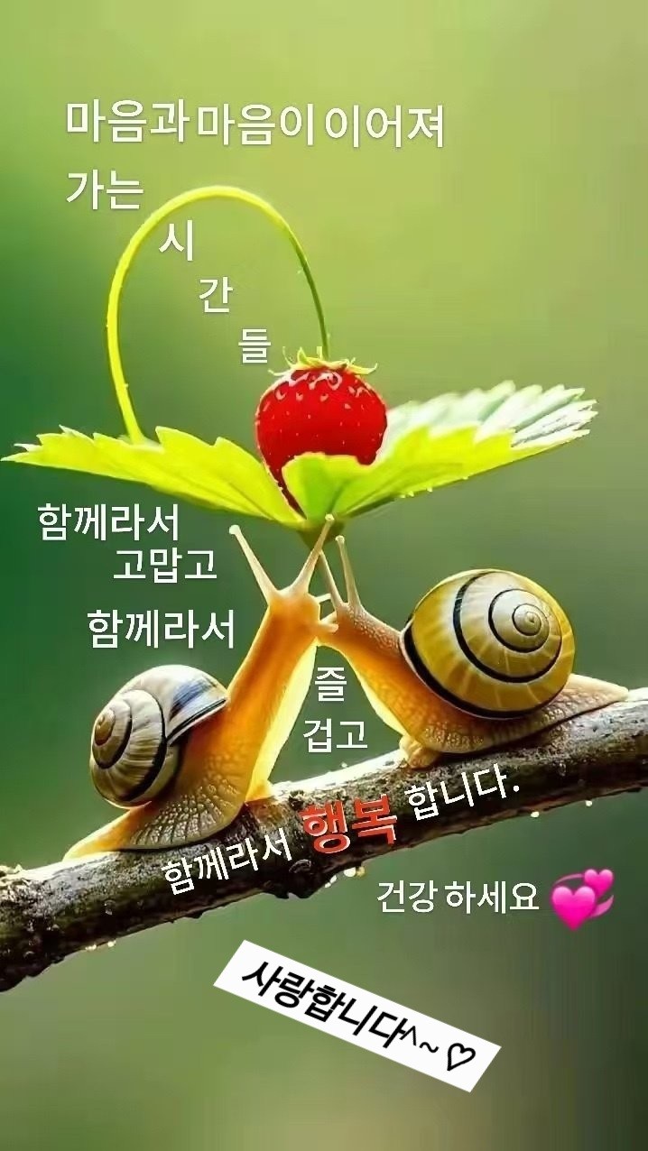 Post image 62