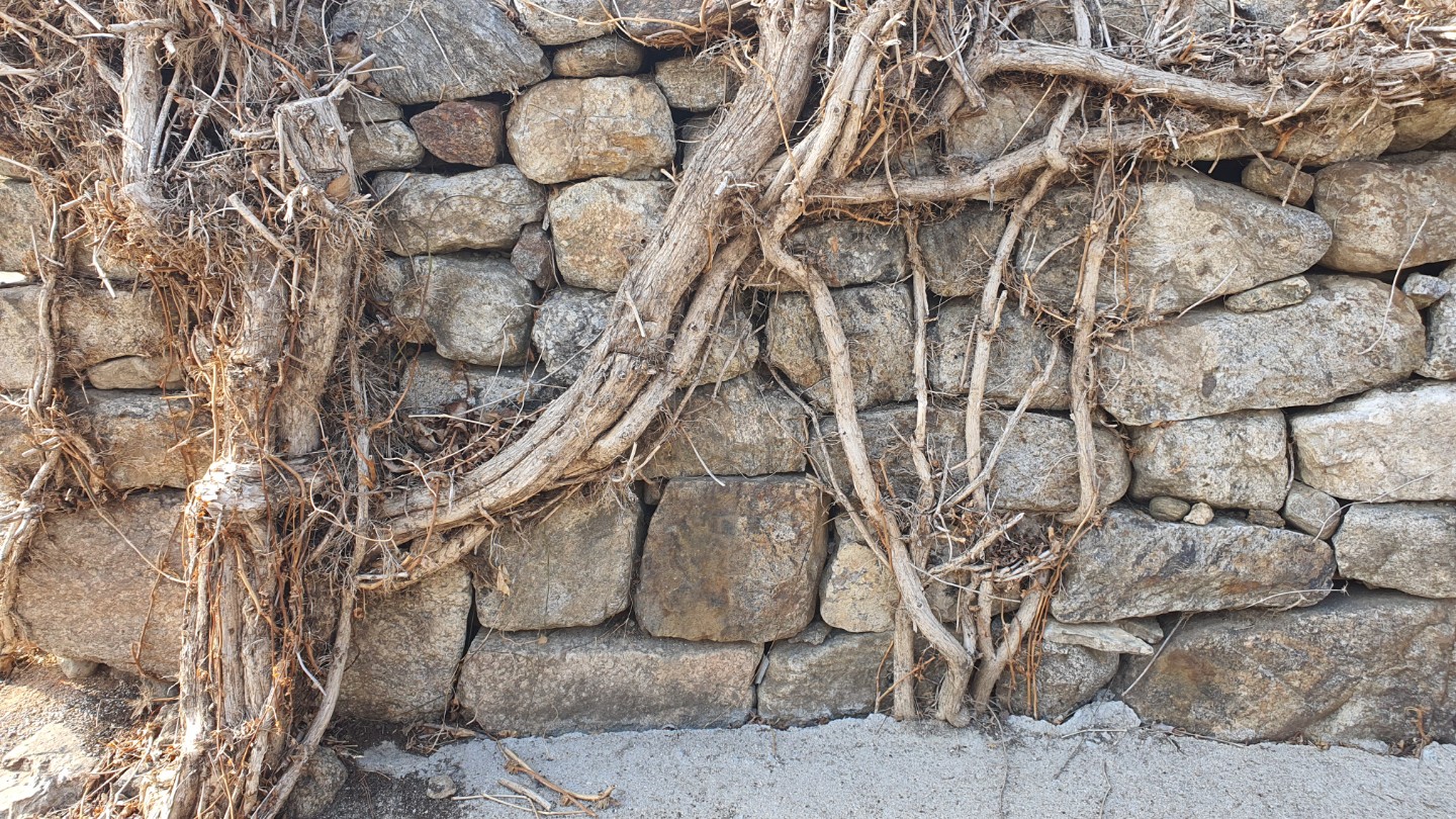 Post image 14