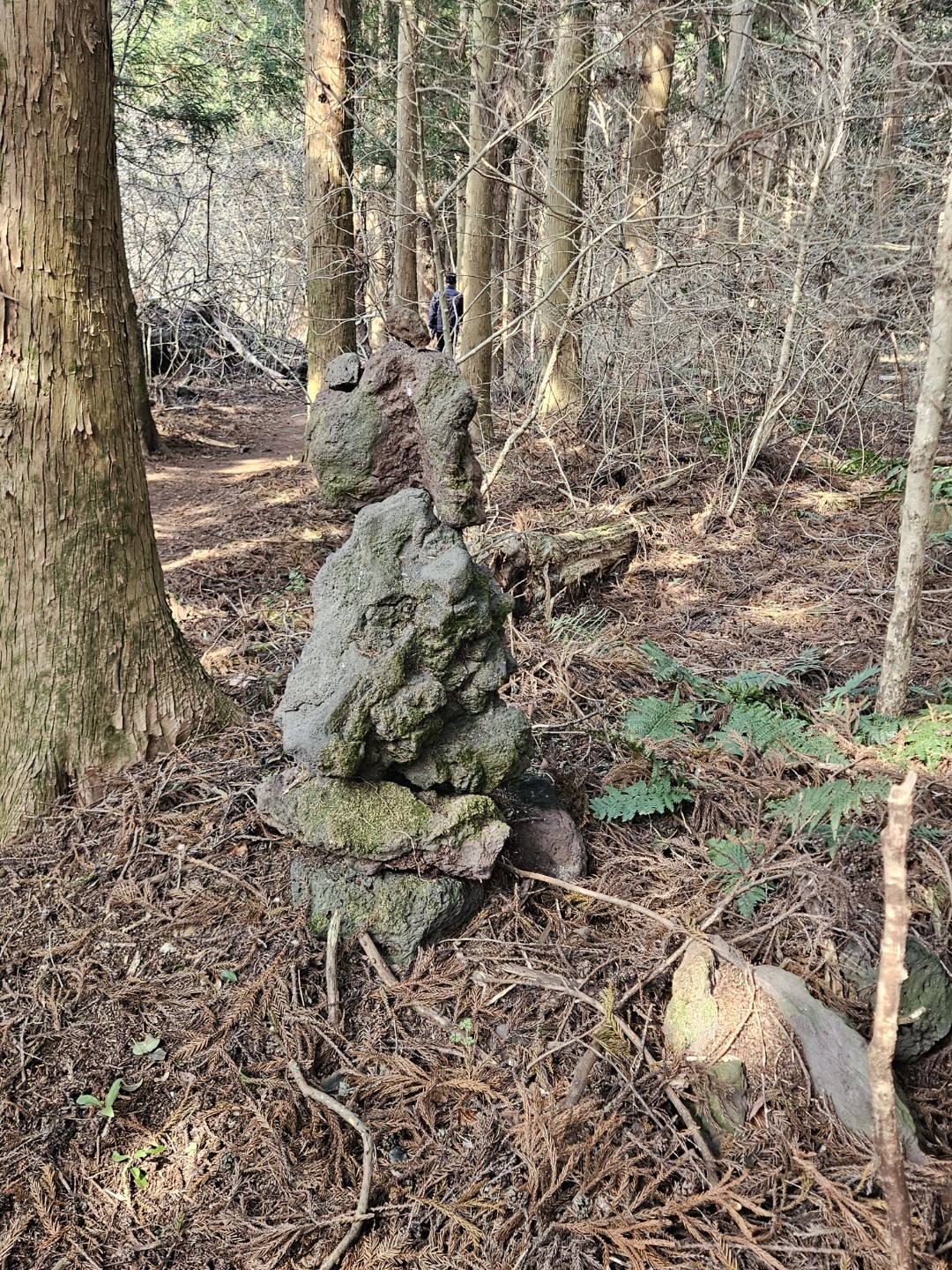 Post image 6