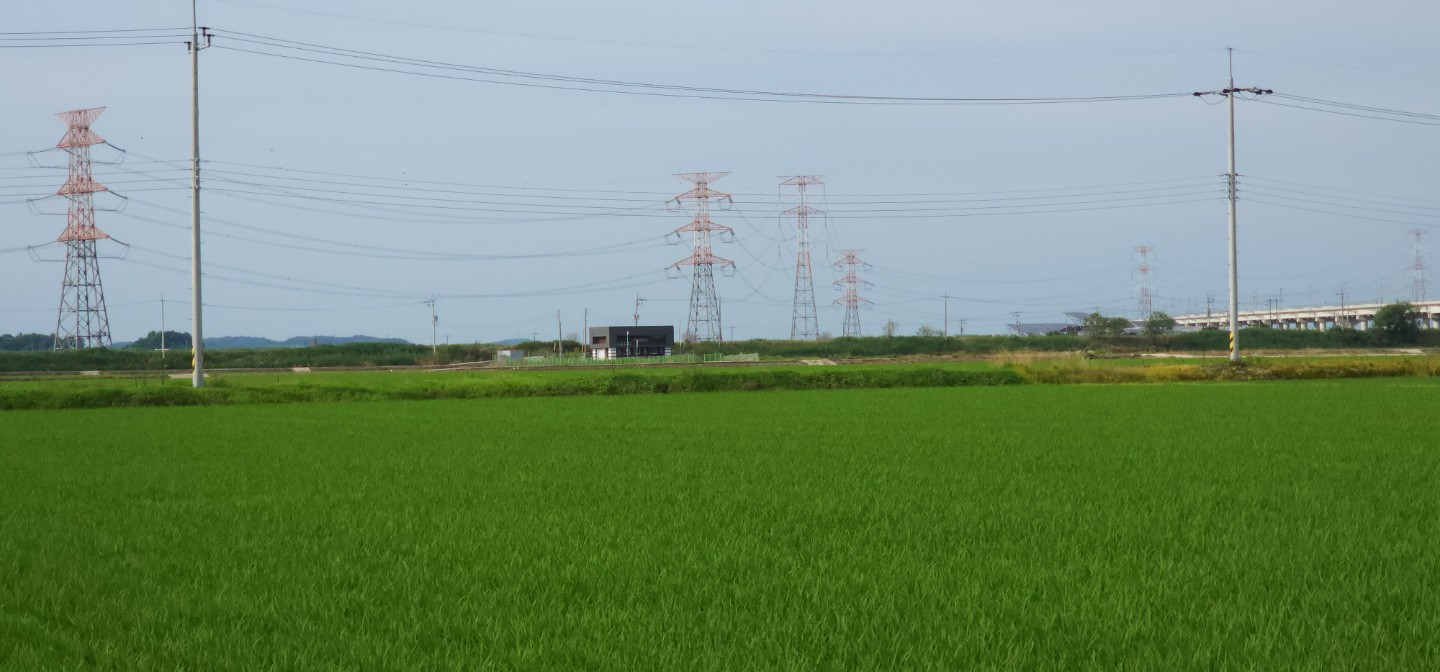 Post image 8