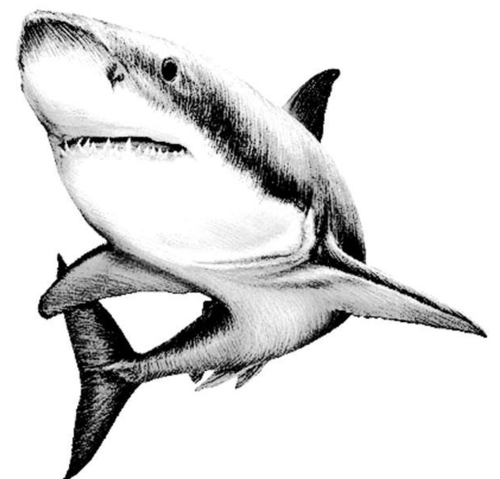 Post image 6