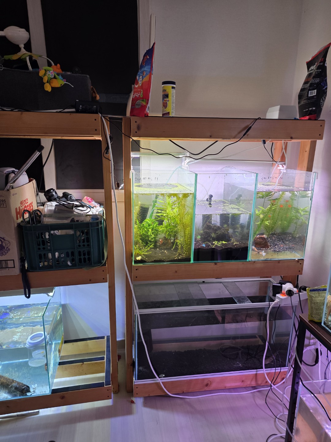 Post image 6