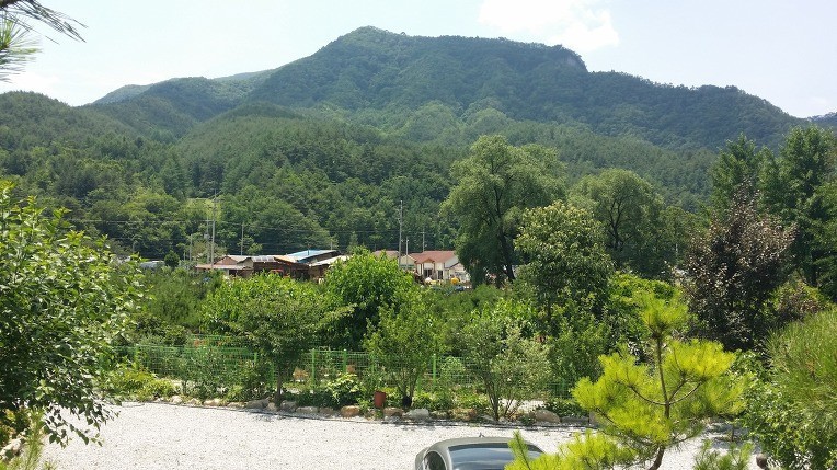Post image 8