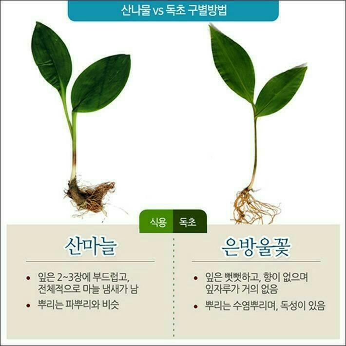 Post image 21