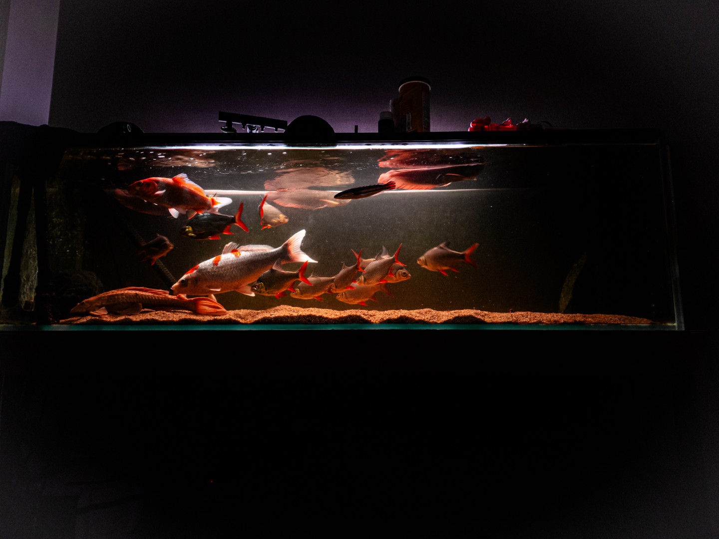 Post image 4