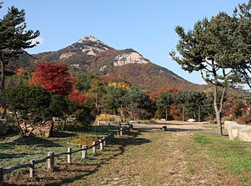 Post image 14