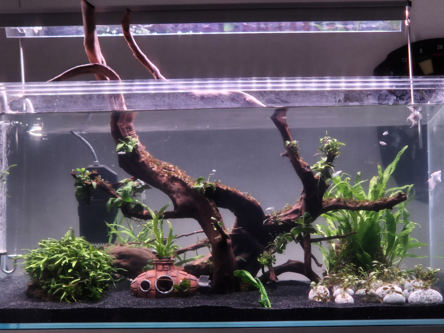 정보 아닐까요?