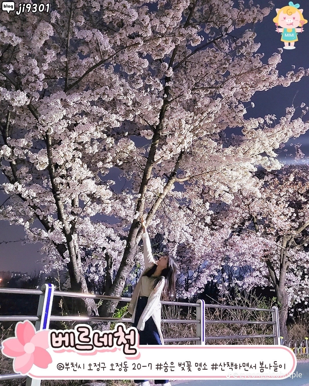 부천 꽃놀이 명소들 공유합니다~🌸