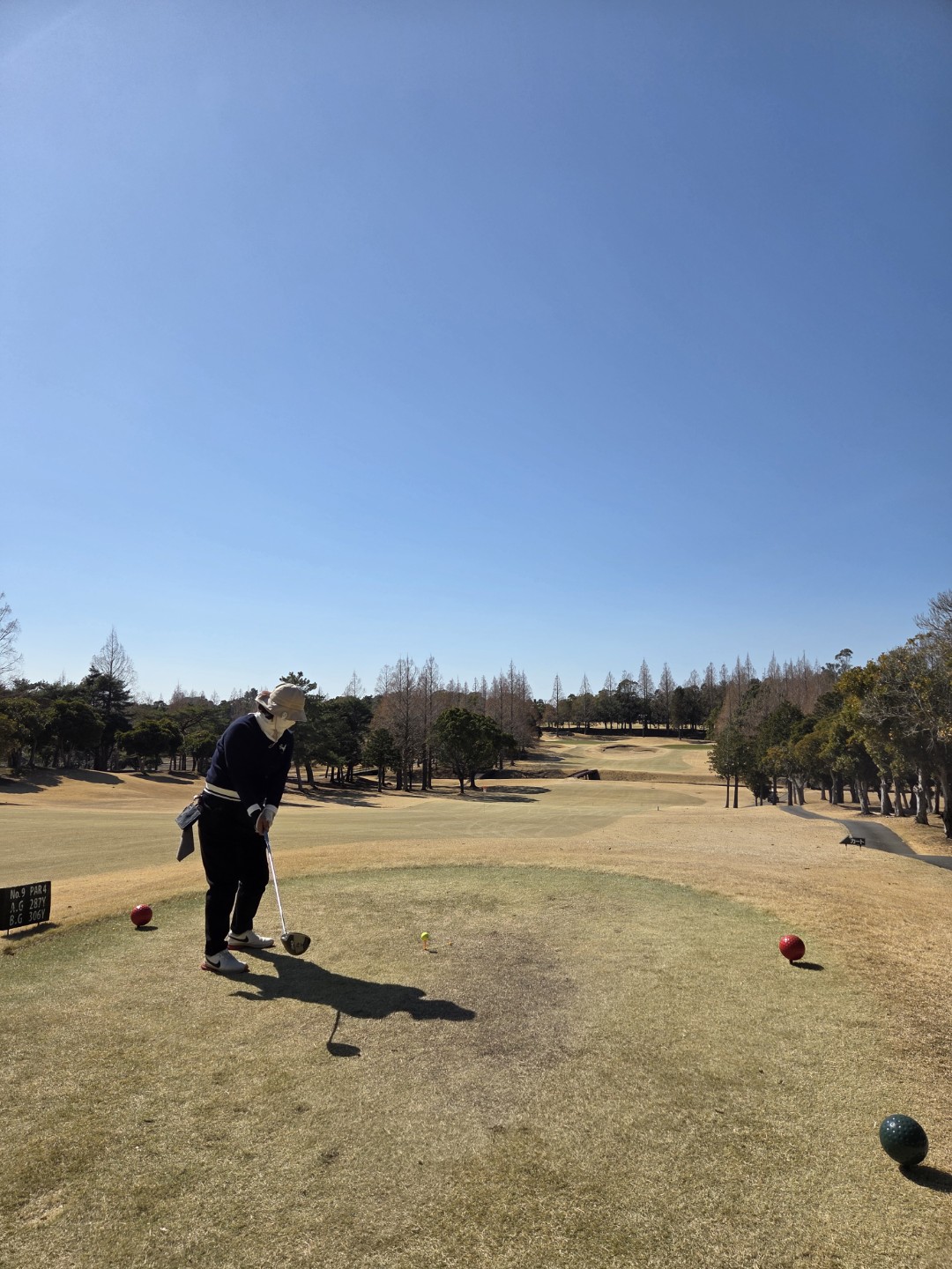 Post image 10