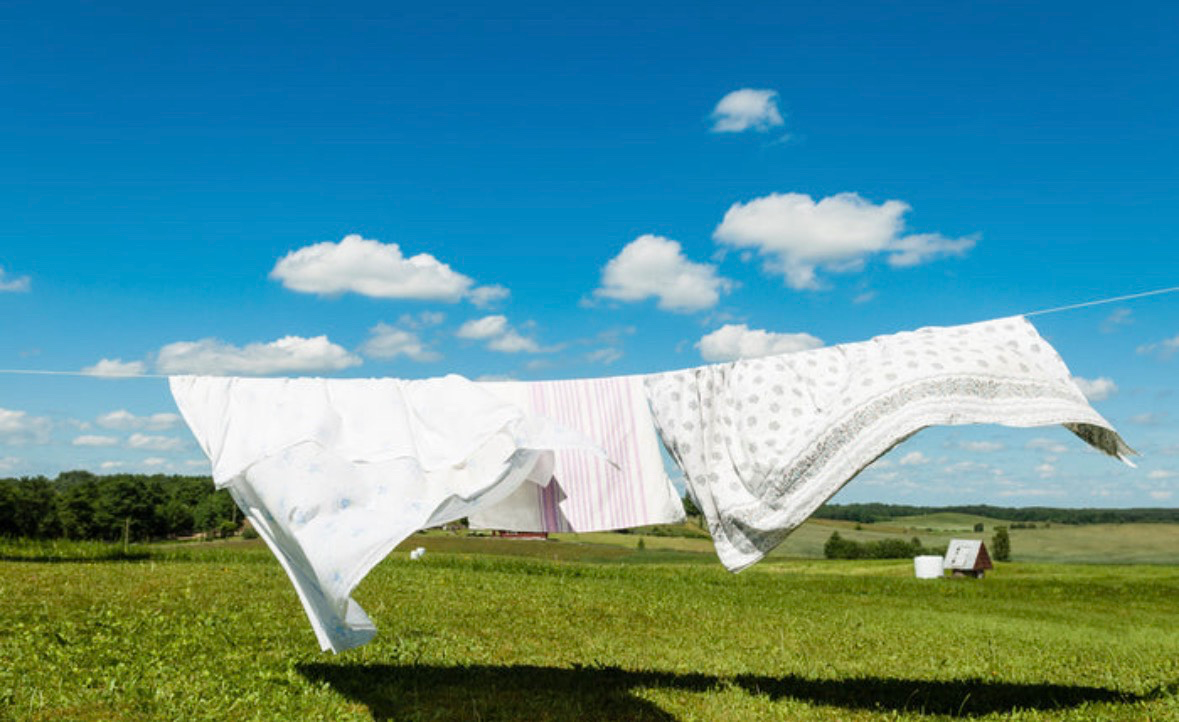 봄 되면 꼭 하는 자취 루틴 있으세요?