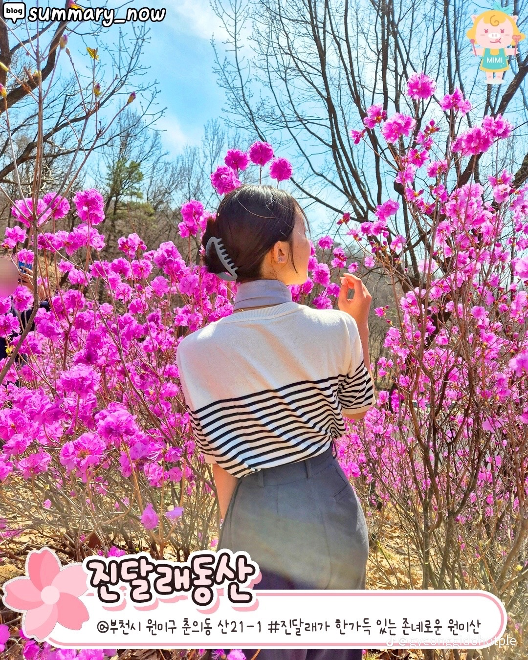 부천 꽃놀이 명소들 공유합니다~🌸