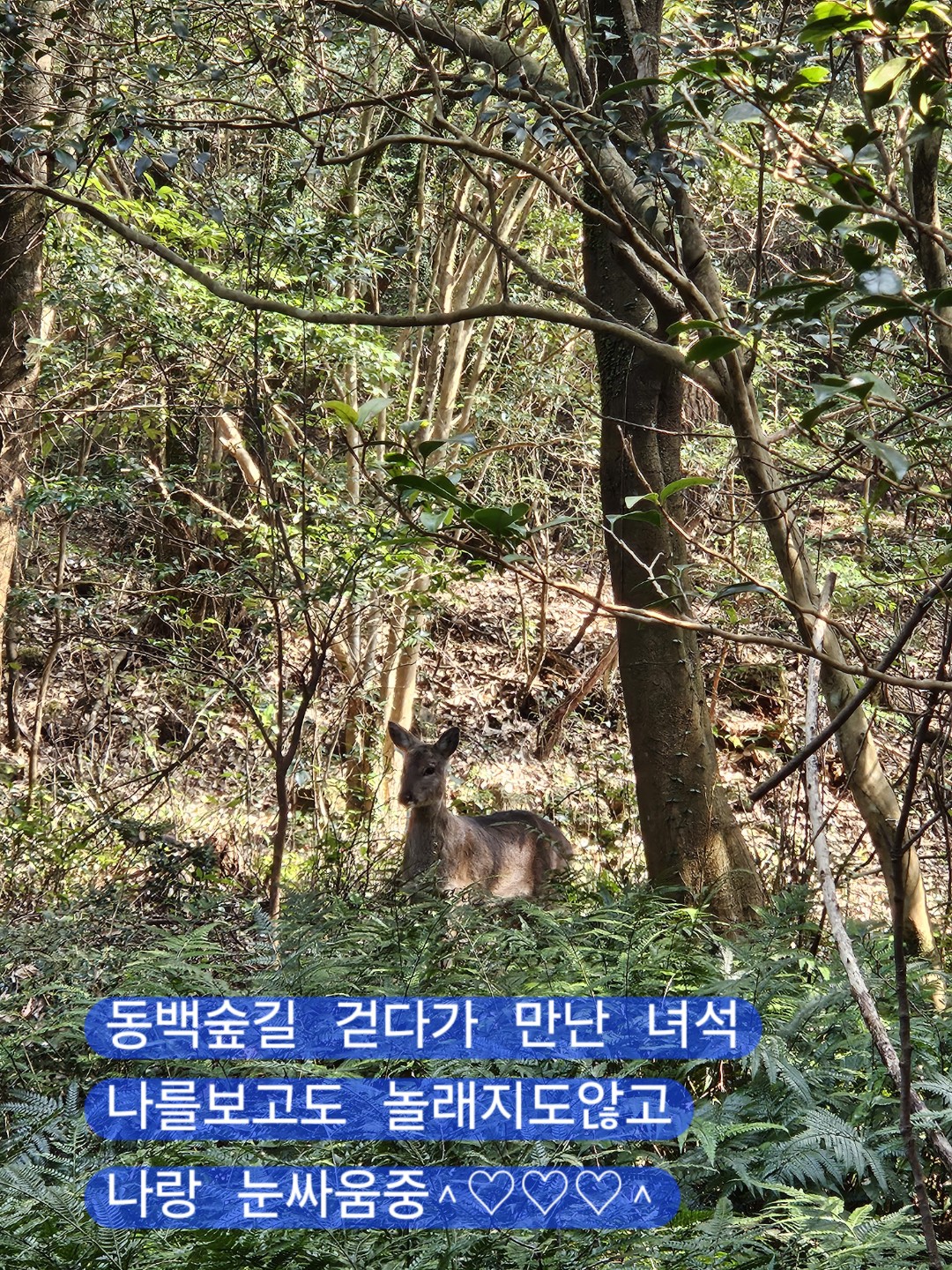 Post image 9
