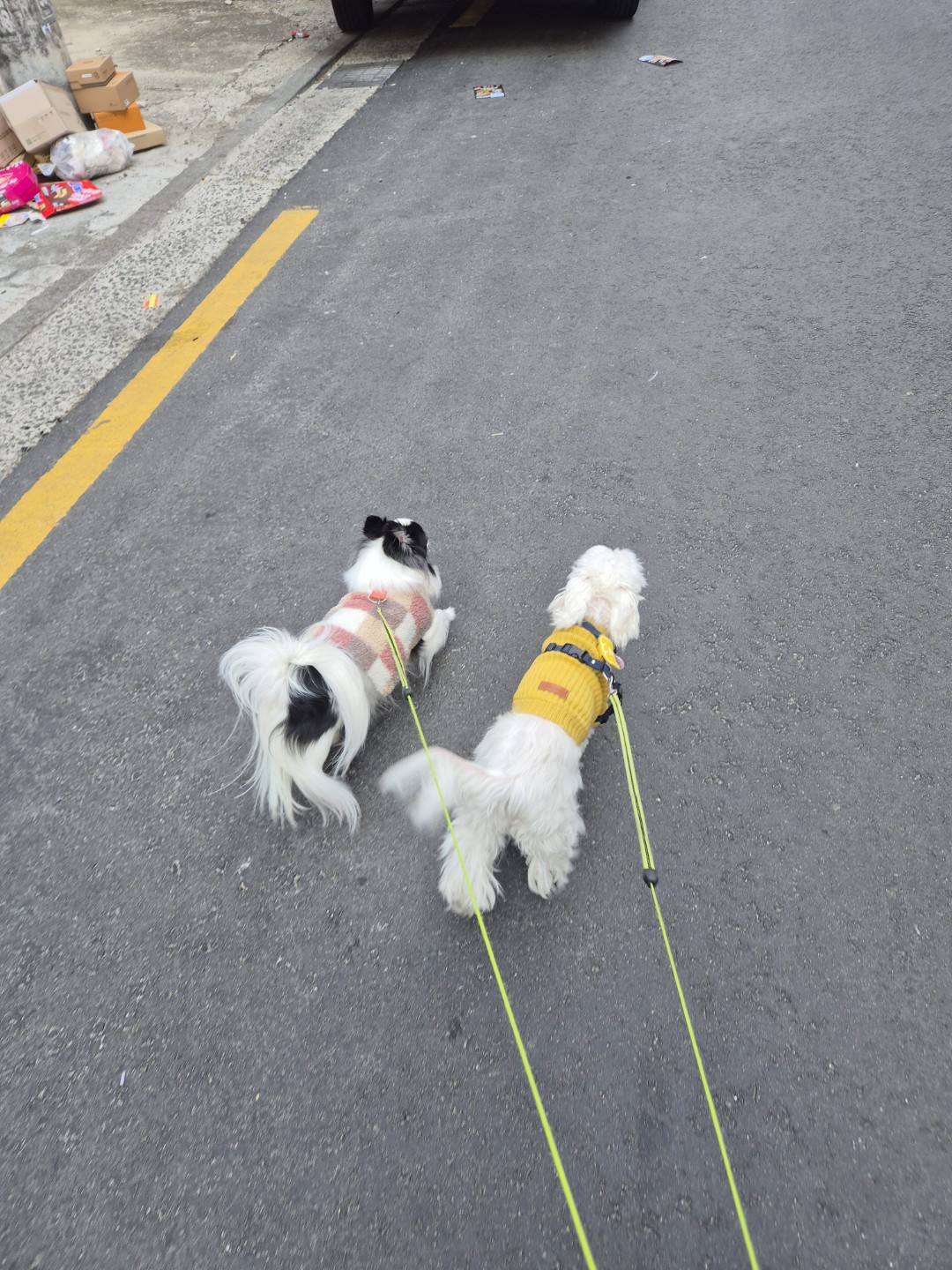 산책은 못참지~