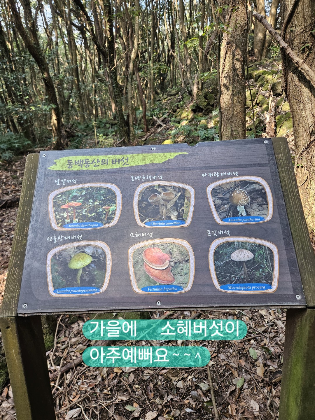 Post image 10