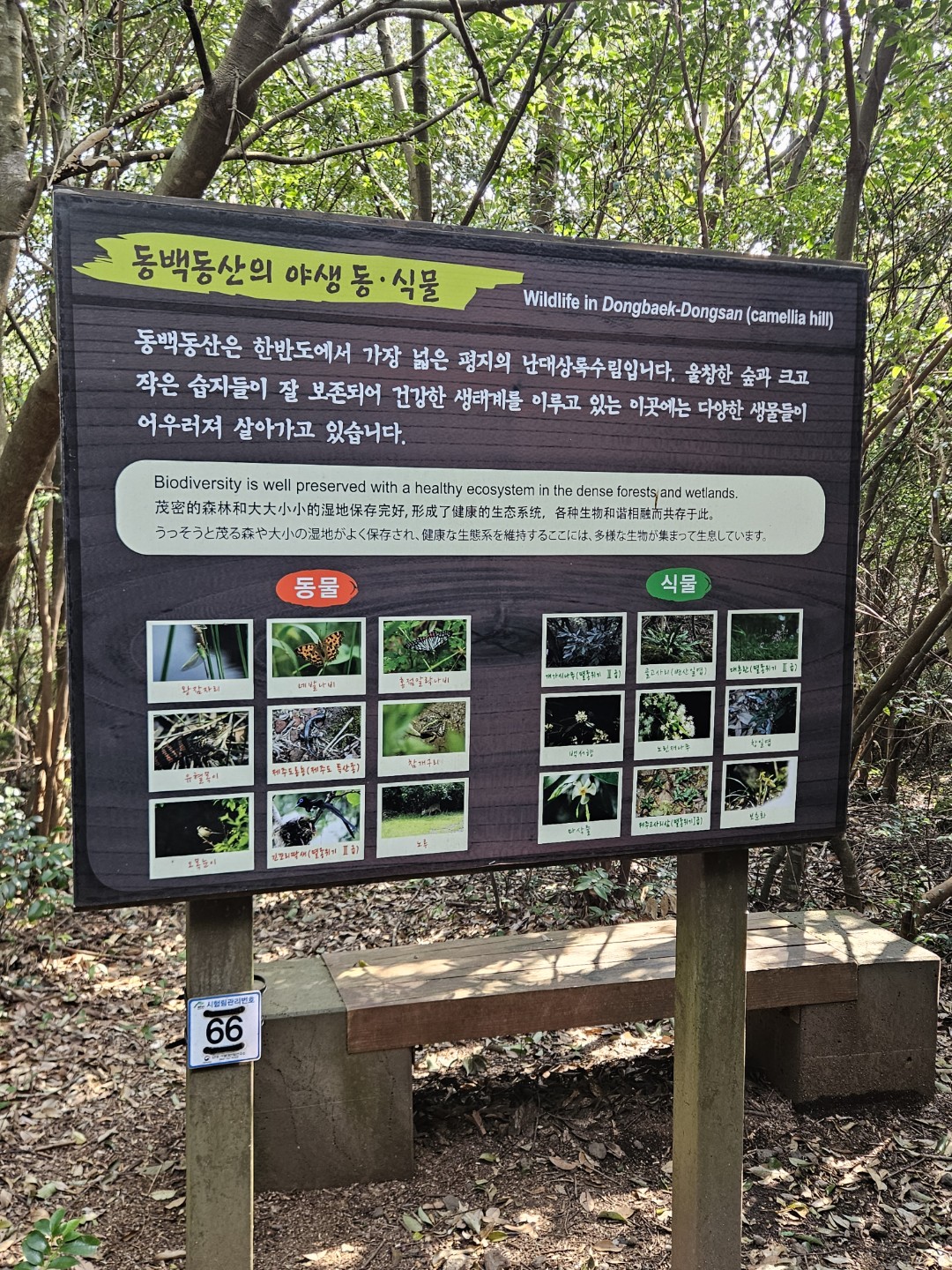 Post image 5