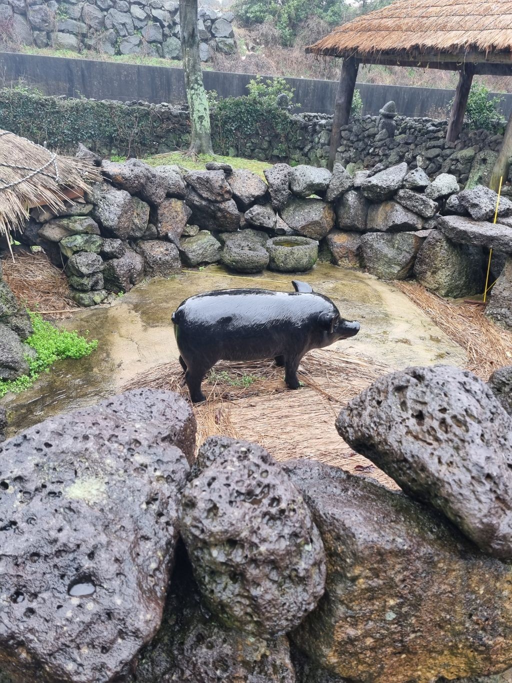 행복은 셀프~