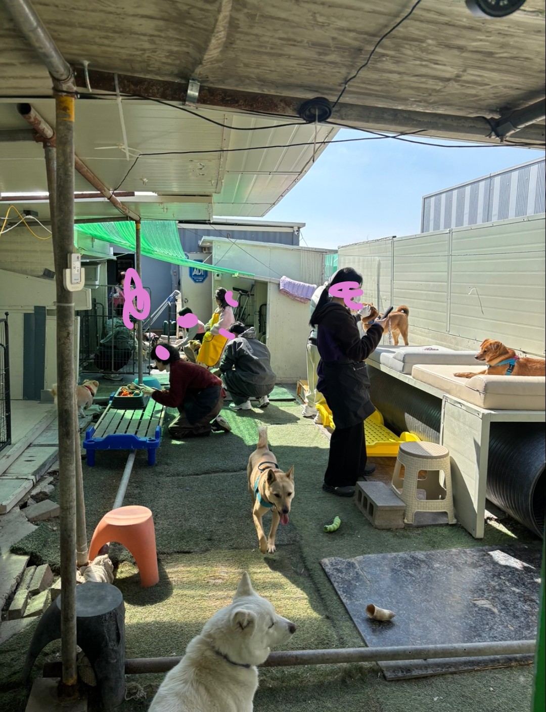 Post image 6