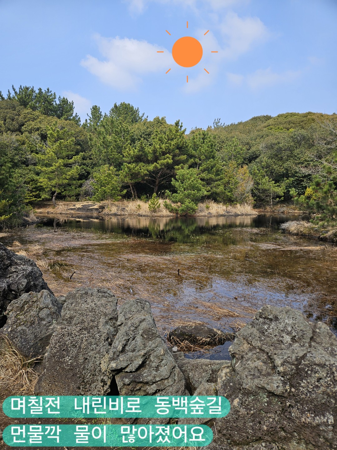 Post image 11